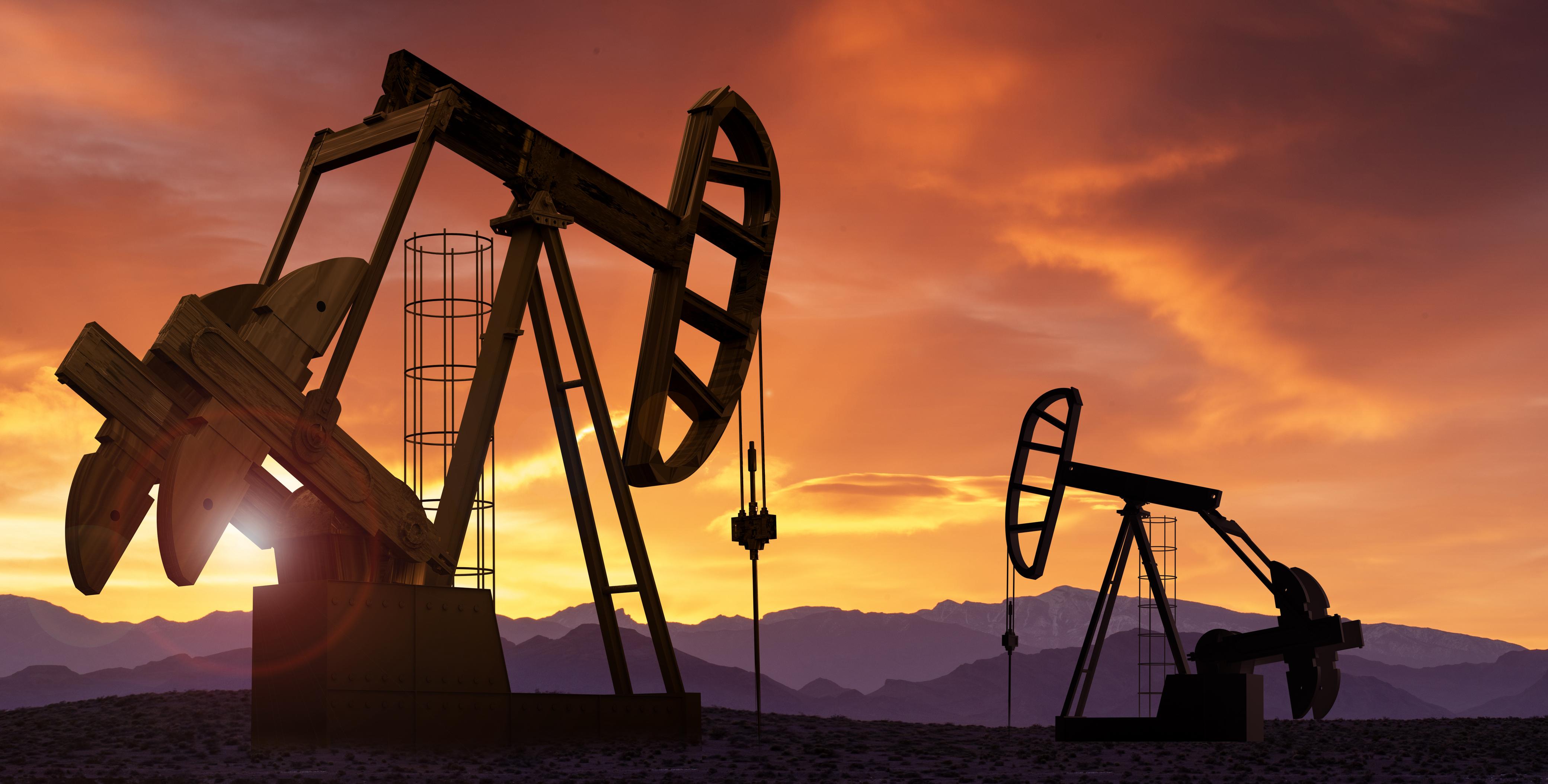 The difficulty of economic diversification in oil-producing countries and the need for financial rules